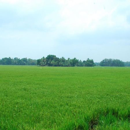Triveny River Palace Hotel Alappuzha Luaran gambar
