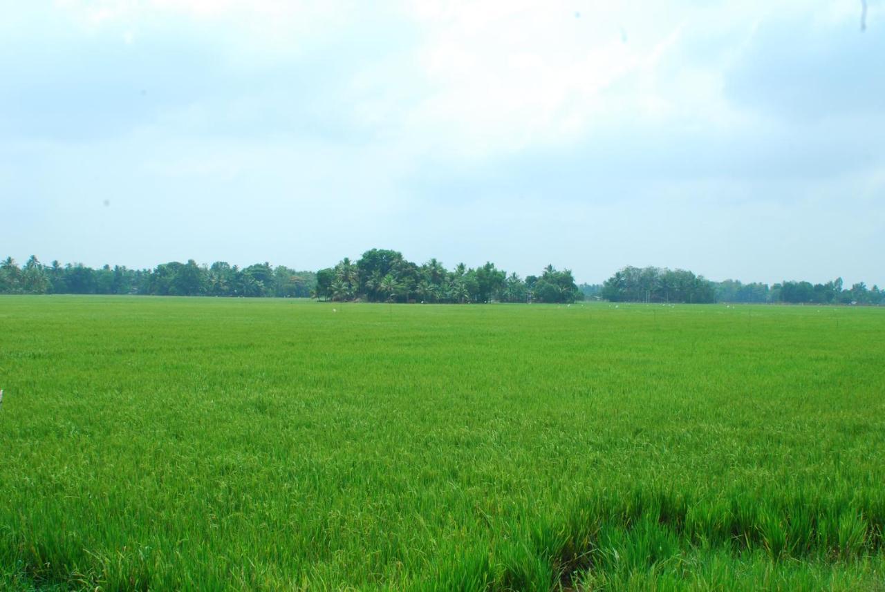 Triveny River Palace Hotel Alappuzha Luaran gambar